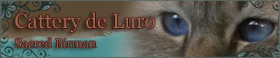 Banner-Cattery-de-Luro-2013